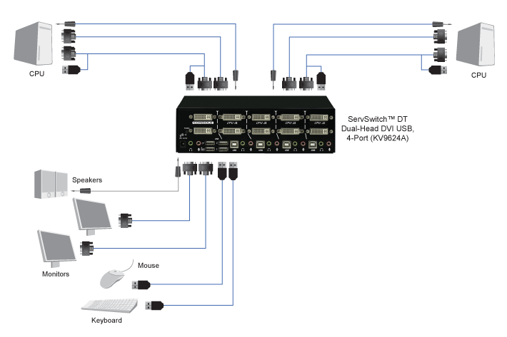 DT DVI + USB MultiVidéo Application diagram