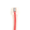 Black Box Connect CAT6 UTP Patch Cable, PVC Basic Connectors