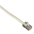 Black Box Connect CAT6 UTP Patch Cable, PVC Basic Connectors